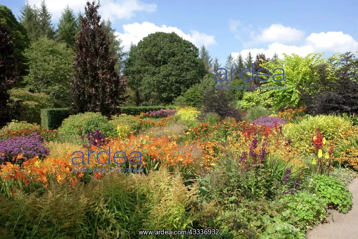 : 80183387 The Hot Garden Royal Horticultural Society : 80183387 The Hot Garden Royal Horticultural Society