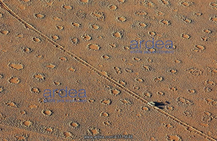 : 80183533 Aerial View - vehicle of balloon ground : 80183533 Aerial View - vehicle of balloon ground