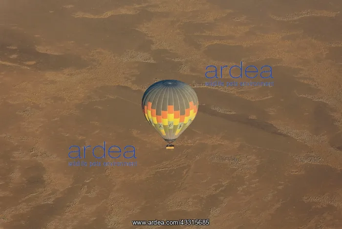 : 80183540 Hot Air Ballooning Namib Desert, Namib-Naukluft : 80183540 Hot Air Ballooning Namib Desert, Namib-Naukluft