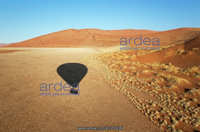 : 80183542 Hot Air Ballooning Namib Desert, Namib-Naukluft : 80183542 Hot Air Ballooning Namib Desert, Namib-Naukluft