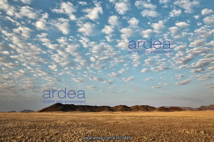 : 80183543 Arid Plains - and isolated mountain ridges : 80183543 Arid Plains - and isolated mountain ridges