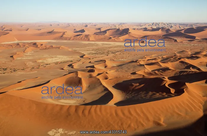  : 80183551 Sand Dunes - 426m high Witberg top right