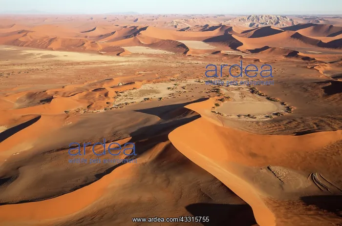  : 80183553 Sand Dunes - 426m high Witberg top right