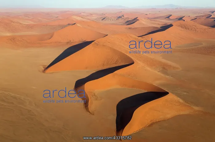 : 80183558 Sand Dunes Namib Desert, Namib-Naukluft : 80183558 Sand Dunes Namib Desert, Namib-Naukluft
