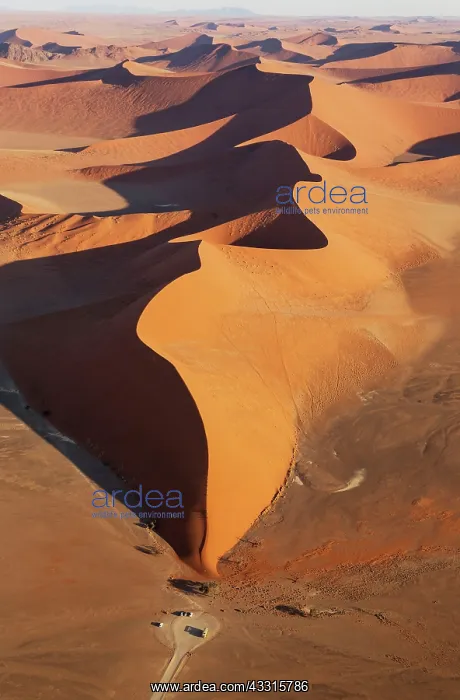 : 80183559 Sand Dunes - the famous Dune 45 with adjoining : 80183559 Sand Dunes - the famous Dune 45 with adjoining