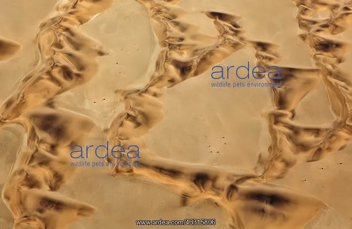 : 80183562 Sand Dunes - the recognizable tracks probably : 80183562 Sand Dunes - the recognizable tracks probably