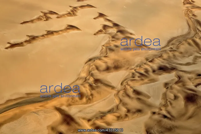 : 80183563 Sand Dunes - the recognizable tracks probably : 80183563 Sand Dunes - the recognizable tracks probably