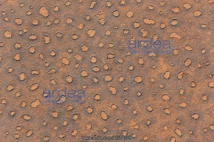 : 80183565 Aerial View - sandy plain - with so-called : 80183565 Aerial View - sandy plain - with so-called