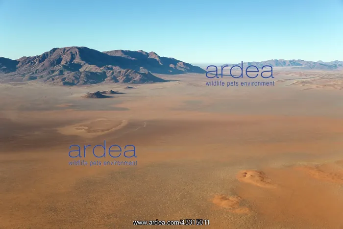 : 80183570 Arid Desert Plains - and isolated mountain : 80183570 Arid Desert Plains - and isolated mountain