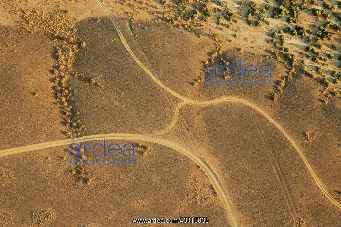 : 80183573 Desert Tracks - aerial view - photographed : 80183573 Desert Tracks - aerial view - photographed