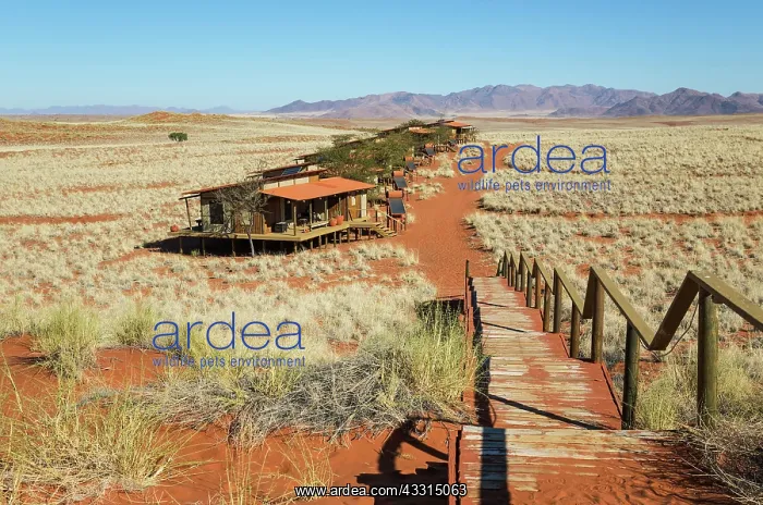 : 80183577 Wolwedans Dunes Lodge Chalets Namib Desert : 80183577 Wolwedans Dunes Lodge Chalets Namib Desert
