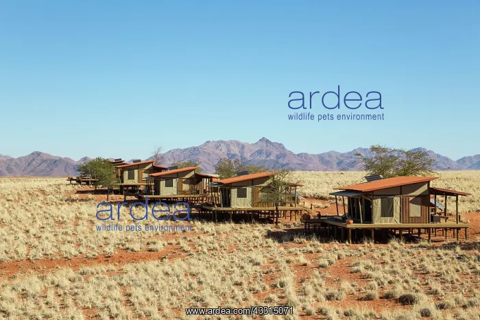 : 80183578 Wolwedans Dunes Lodge Chalets Namib Desert : 80183578 Wolwedans Dunes Lodge Chalets Namib Desert