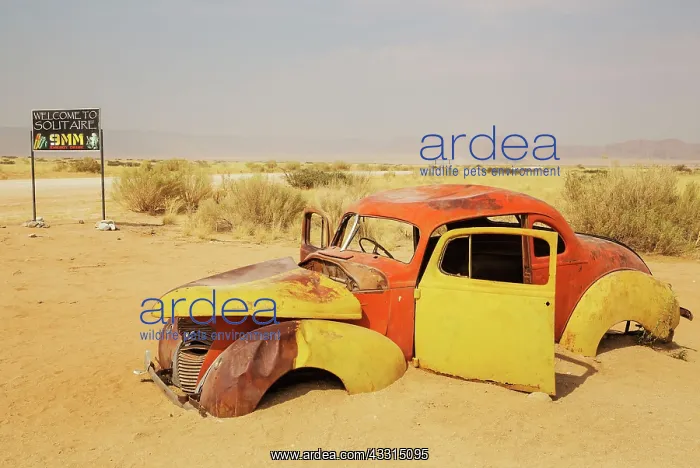 : 80183581 Scrapped Cars - at the hamlet of Solitaire : 80183581 Scrapped Cars - at the hamlet of Solitaire
