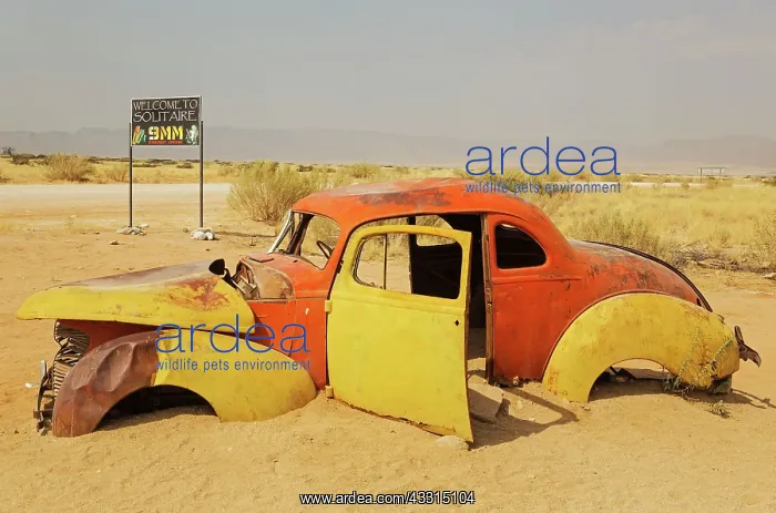 : 80183582 Scrapped Cars - at the hamlet of Solitaire : 80183582 Scrapped Cars - at the hamlet of Solitaire