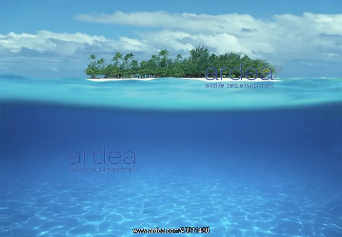 : 80183982 Seascape Maldives Islands Agenzia Giornalistica : 80183982 Seascape Maldives Islands Agenzia Giornalistica