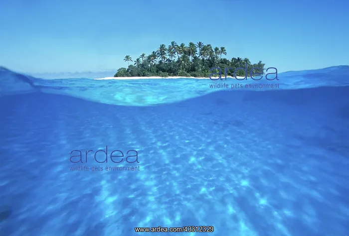 : 80183983 Seascape Maldives Islands Agenzia Giornalistica : 80183983 Seascape Maldives Islands Agenzia Giornalistica