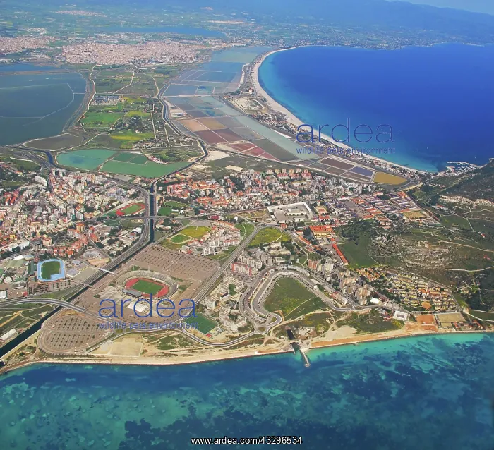 : 80183984 Poetto Beach - aerial view Cagliari, Sardinia : 80183984 Poetto Beach - aerial view Cagliari, Sardinia