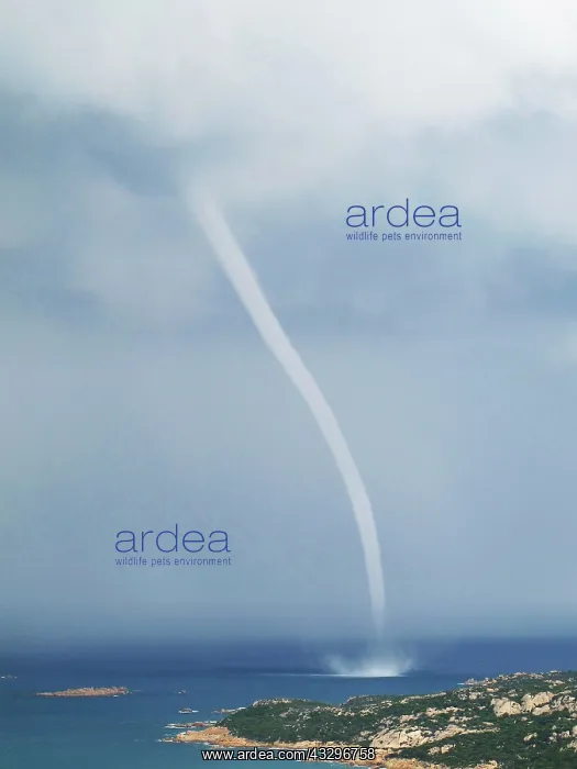 : 80183986 Marine Waterspout Costa Smeralda, Sardinia : 80183986 Marine Waterspout Costa Smeralda, Sardinia