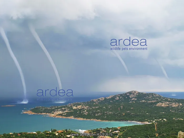  : 80183987 Marine Waterspout Costa Smeralda, Sardinia