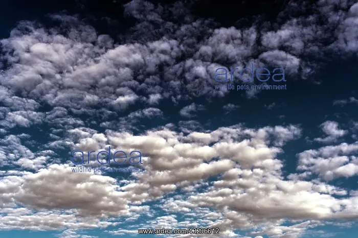 : 80184022 Clouds - Sky Agenzia Giornalistica Fotografica : 80184022 Clouds - Sky Agenzia Giornalistica Fotografica