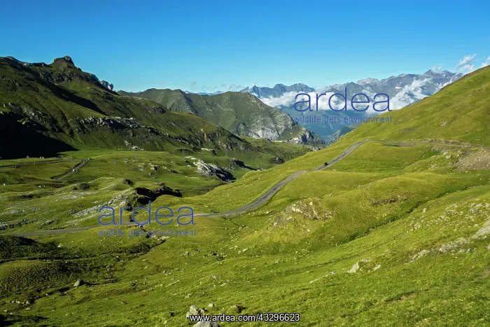 : 80184029 The Valley Of Bareges - with road to The : 80184029 The Valley Of Bareges - with road to The