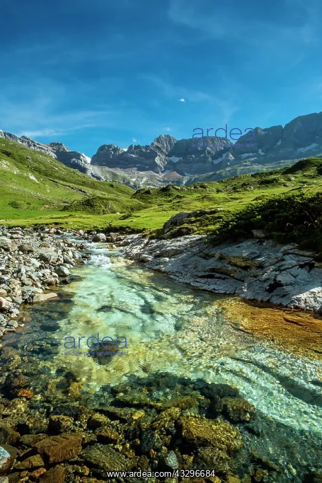 : 80184033 The Cirque Of Estaube Hautes Pyrenees : 80184033 The Cirque Of Estaube Hautes Pyrenees