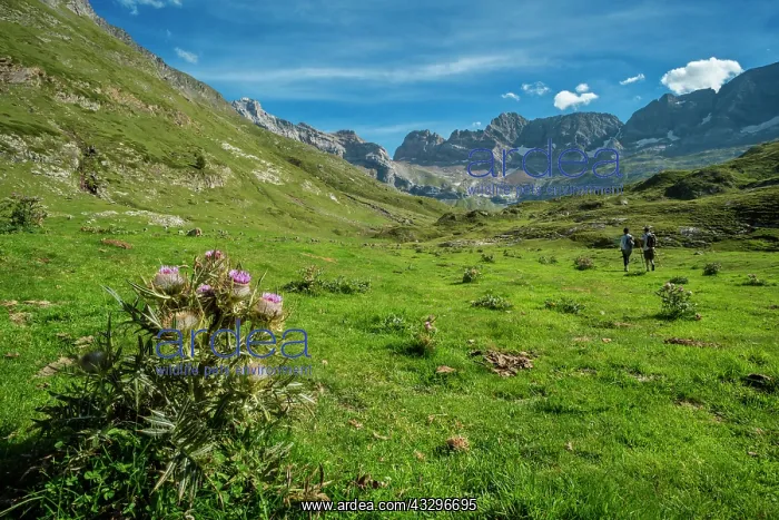 : 80184034 The Cirque Of Estaube Hautes Pyrenees : 80184034 The Cirque Of Estaube Hautes Pyrenees