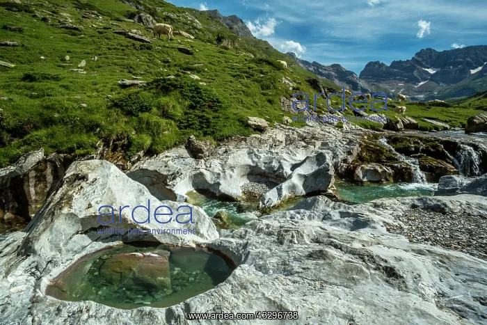 : 80184038 The Cirque Of Estaube Hautes Pyrenees : 80184038 The Cirque Of Estaube Hautes Pyrenees