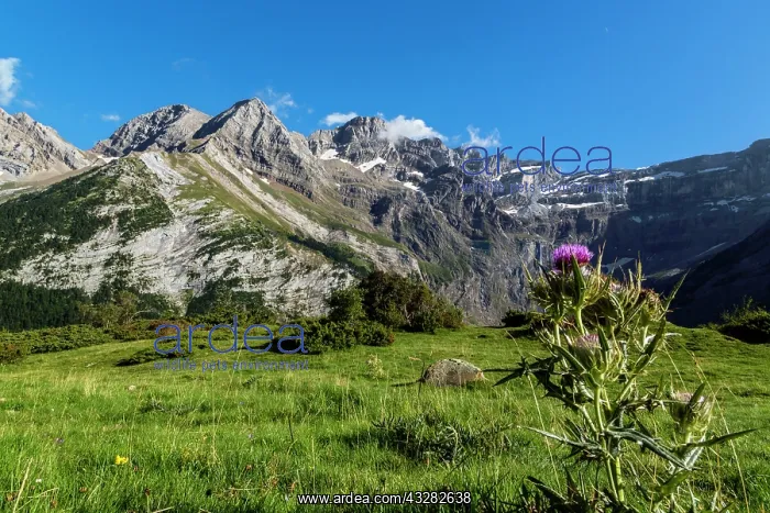 : 80184047 Cirque Of Gavarnie From Plateau Bellevue : 80184047 Cirque Of Gavarnie From Plateau Bellevue