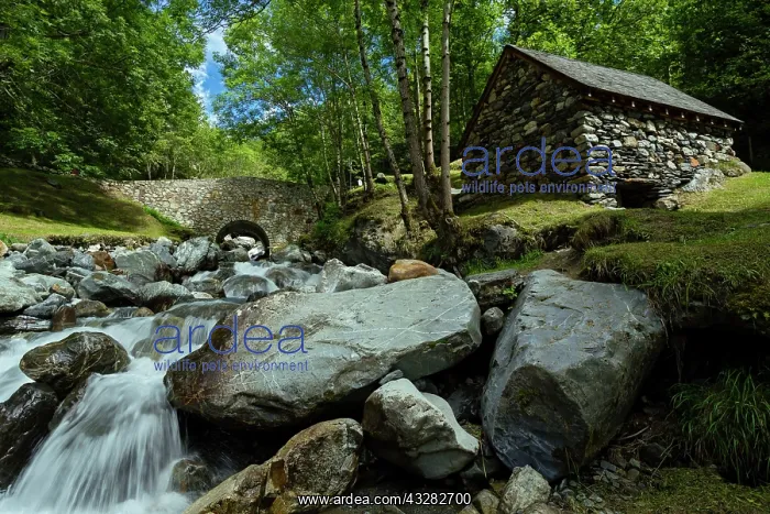 : 80184051 Watermills Hautes Pyrenees, France Agenzia : 80184051 Watermills Hautes Pyrenees, France Agenzia