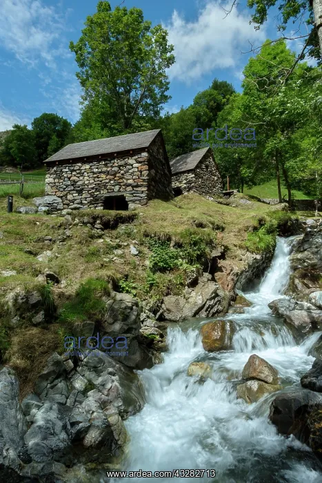 : 80184052 Watermills Hautes Pyrenees, France Agenzia : 80184052 Watermills Hautes Pyrenees, France Agenzia