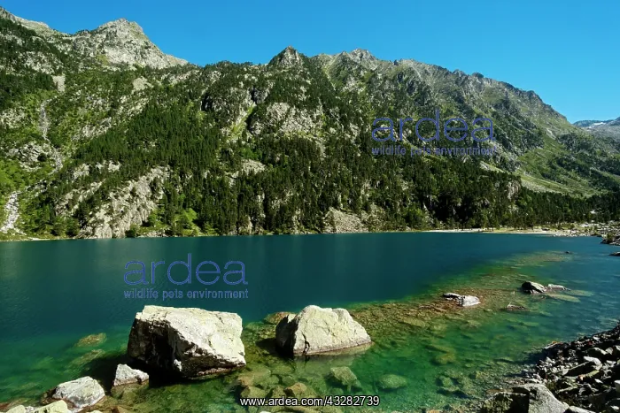 : 80184054 Lake Of Gaube - Cauterets Hautes Pyrenees : 80184054 Lake Of Gaube - Cauterets Hautes Pyrenees