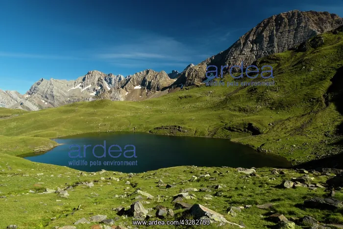 : 80184055 Especieres Lake - Col Des Tentes Hautes : 80184055 Especieres Lake - Col Des Tentes Hautes