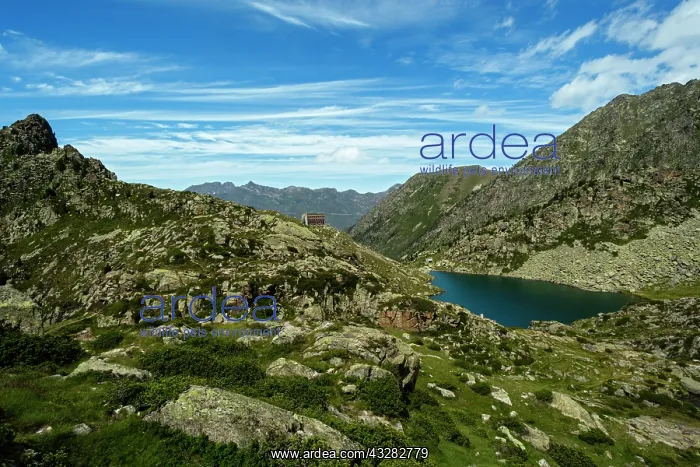 : 80184057 Mountain Shelter - Lake Of La Glere Hautes : 80184057 Mountain Shelter - Lake Of La Glere Hautes