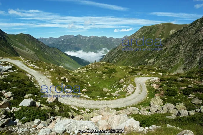  : 80184060 Climbing Route - to lake and shelter -