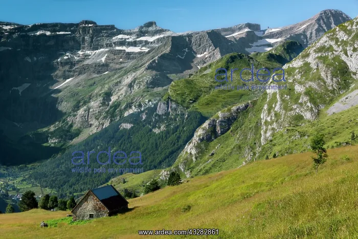 : 80184063 Plateau de Saugue Cirque Of Gavarnie, Hautes : 80184063 Plateau de Saugue Cirque Of Gavarnie, Hautes