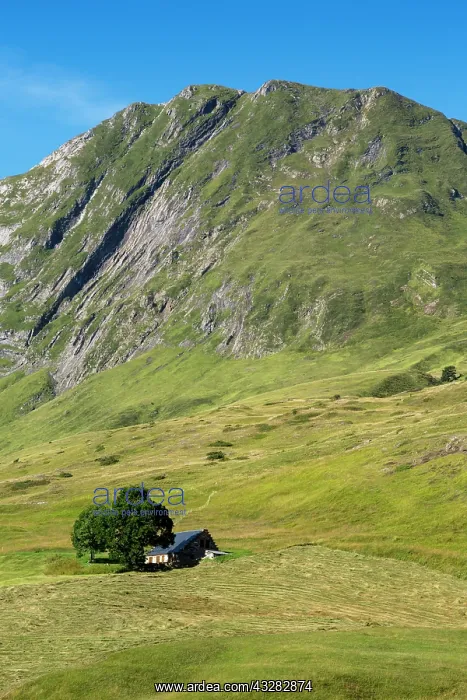  : 80184064 Plateau de Saugue Hautes Pyrenees, France