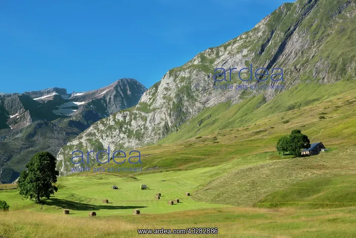 : 80184065 Plateau de Saugue Cirque Of Gavarnie, Hautes : 80184065 Plateau de Saugue Cirque Of Gavarnie, Hautes