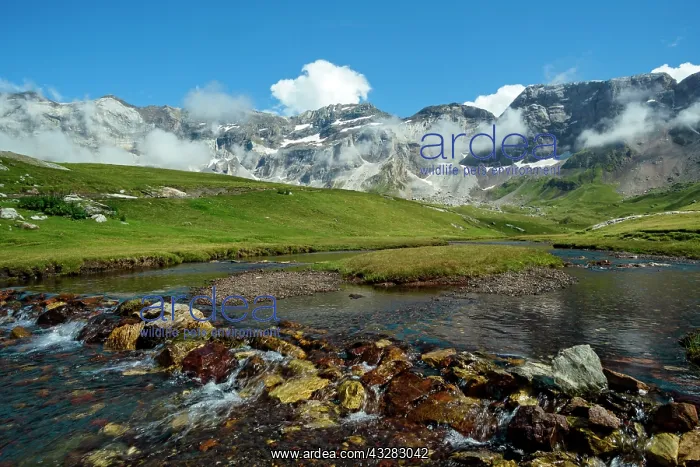 : 80184076 The Cot River Cirque de Troumouse, Hautes : 80184076 The Cot River Cirque de Troumouse, Hautes