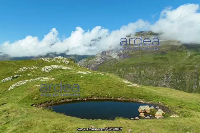 : 80184078 The Cirque De Troumouse Hautes Pyrenees : 80184078 The Cirque De Troumouse Hautes Pyrenees