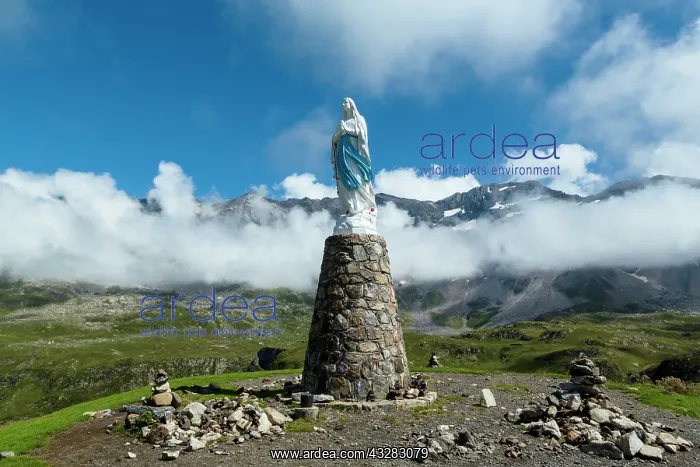  : 80184079 The Cirque De Troumouse Hautes Pyrenees