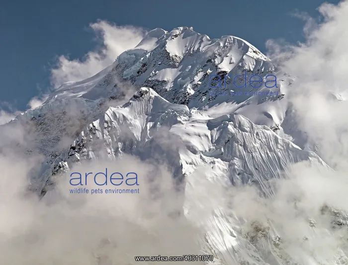 : 80184123 Mountain - The Twins snow-capped peak covered : 80184123 Mountain - The Twins snow-capped peak covered
