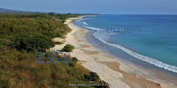 : 80184128 Beach Bahla de las Banderas, Punta de : 80184128 Beach Bahla de las Banderas, Punta de
