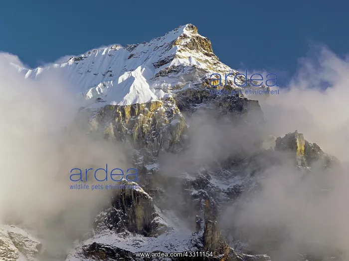 : 80184131 Mountain - snow-capped peak covered with : 80184131 Mountain - snow-capped peak covered with