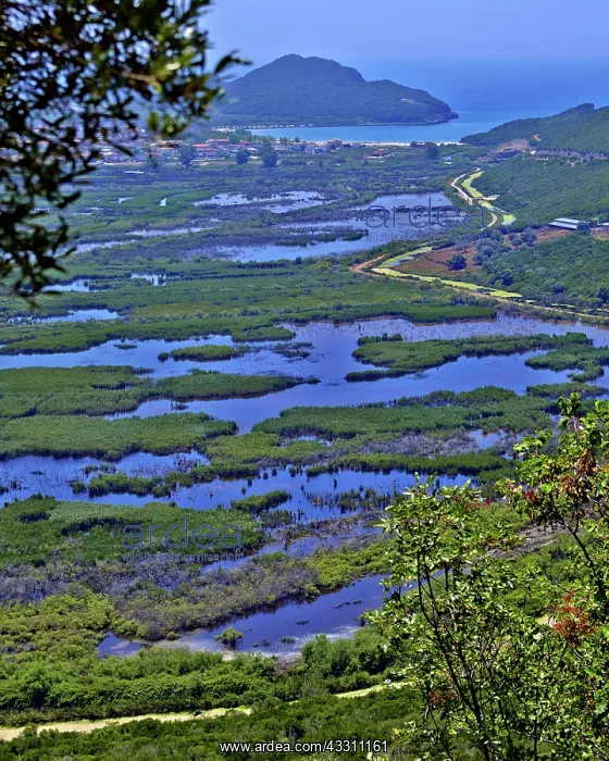 : 80184132 Saltmarsh Ammoudia, Epirus, Greece Agenzia : 80184132 Saltmarsh Ammoudia, Epirus, Greece Agenzia