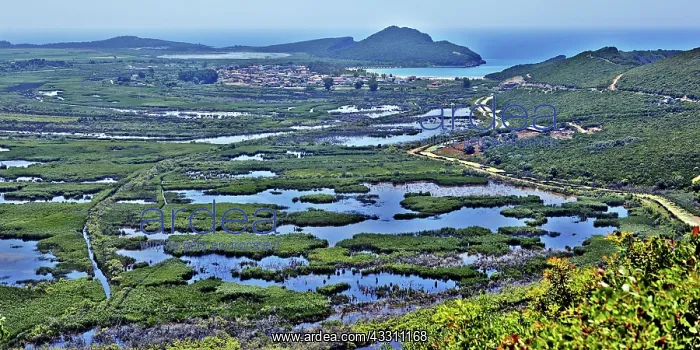 : 80184133 Saltmarsh Ammoudia, Epirus, Greece Agenzia : 80184133 Saltmarsh Ammoudia, Epirus, Greece Agenzia