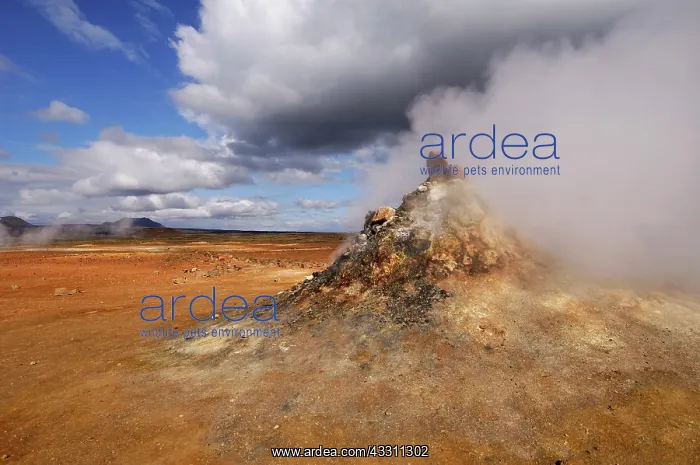 : 80184154 Geothermal Vent / Fumarole - steaming Hverarond : 80184154 Geothermal Vent / Fumarole - steaming Hverarond