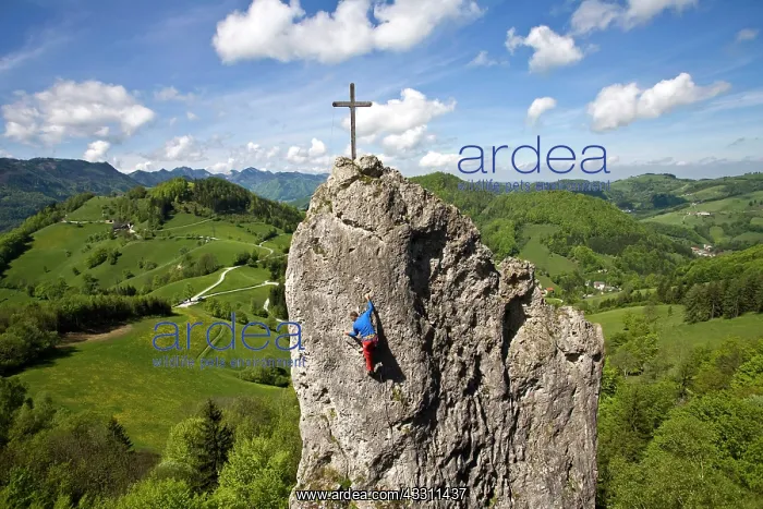 : 80184171 Mountaineering Sow's Tooth, Austria Agenzia : 80184171 Mountaineering Sow's Tooth, Austria Agenzia