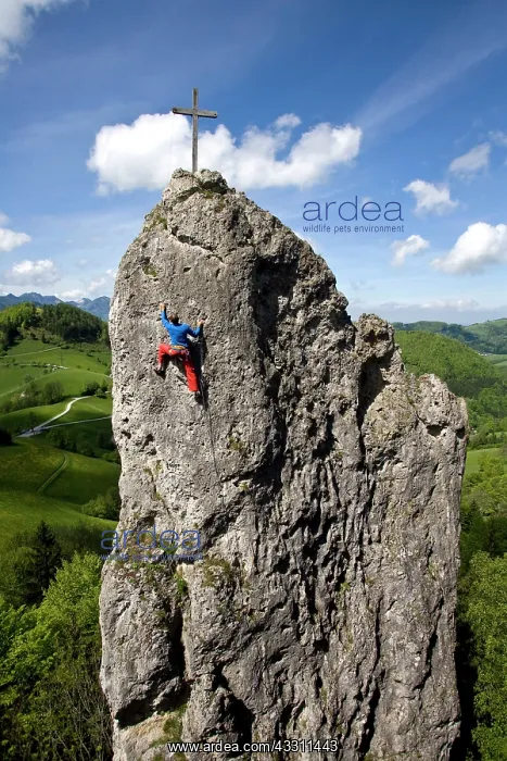 : 80184172 Mountaineering Sow's Tooth, Austria Agenzia : 80184172 Mountaineering Sow's Tooth, Austria Agenzia
