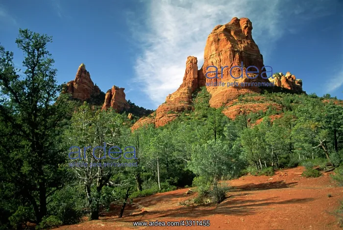 : 80184174 Rock Formation Red Rock Country in secret : 80184174 Rock Formation Red Rock Country in secret